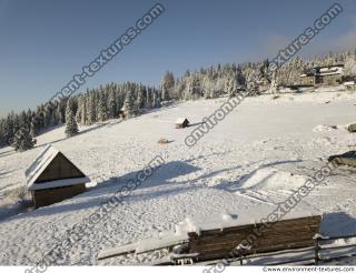 Photo Textures of Background Forest